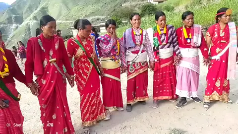 🌺🌺🌺🌺🌺🌺🌺🌺