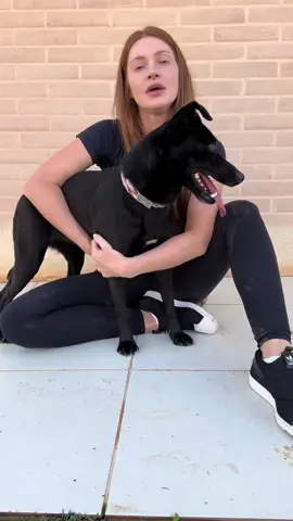 Vem aí o nosso primeiro Black Love Day! 🖤🐾 No dia 30/08, vamos realizar um evento de adoção muito especial: só com os nossos pretinhos lindos esperando por um lar cheio de amor. ✨ Infelizmente, ainda existe preconceito na hora da adoção, e os cães adultos, de porte grande, idosos e de pelagem preta são sempre os últimos a serem escolhidos. Mas juntos podemos mudar essa realidade! 📍 Local: Balaroti do Barigui 🕙 Horário: 10h às 15h 🗓️ Já anota na agenda e vem conhecer nossos pretinhos maravilhosos. Eles só precisam de uma chance para mostrar todo o amor que têm para dar! 💕 👉 Compartilhe, convide os amigos e ajude a transformar a vida deles. #BlackLoveDaysos #AdoçãoResponsável #pretinhosdoamor 