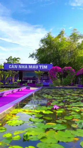 Coffee - Phim trường Căn nhà màu tím, số 99, Đ. Chí Sinh, P. Hưng Phú. TP. Cần Thơ#cannhamautimcantho #cannhamautim 