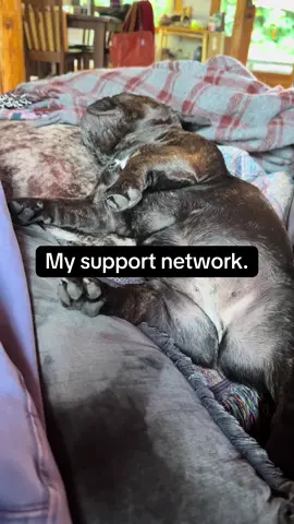Everything I’ve ever needed.