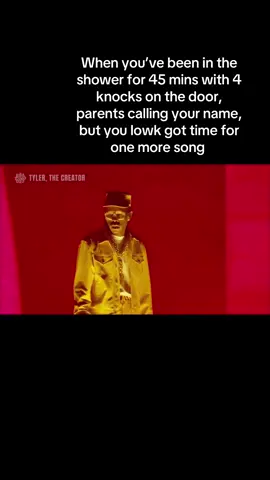 #fyp #viral #tylerthecreator #showerconcert #lollapalooza 