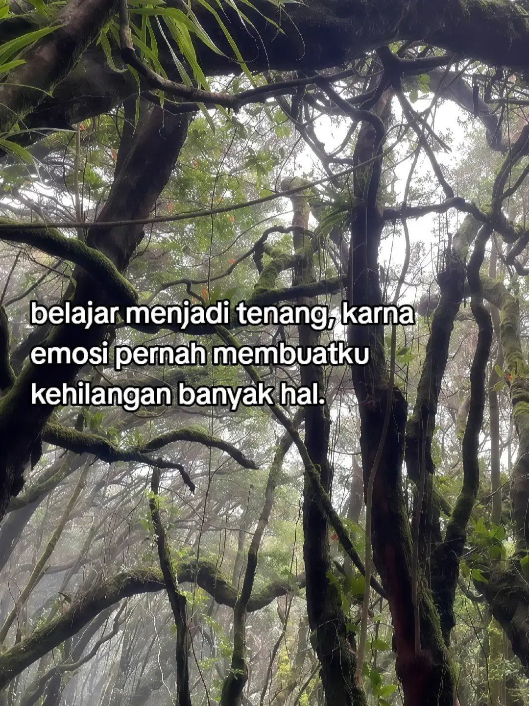 ... 📝Bahan-bahan: - 2 cangkir beras - 2 cangkir santan - 1 batang serai, memarkan - 2 lembar daun salam - 1 sendok teh garam - 1/2 sendok teh gula pasir 👩‍🍳Cara membuat: 1. Cuci beras: Cuci beras hingga bersih, tiriskan. 2. Masak santan: Masak santan dengan serai, daun salam, garam, dan gula pasir hingga mendidih. 3. Tambahkan beras: Tambahkan beras ke dalam santan, aduk rata. 4. Masak nasi: Masak nasi dengan api kecil hingga santan terserap habis dan nasi matang. 5. Sajikan: Sajikan nasi uduk dengan lauk favorit Anda, seperti semur jengkol, empal goreng, atau ayam goreng. Tips: - Gunakan santan yang segar untuk hasil yang lebih baik. - Sesuaikan jumlah santan dengan jenis beras yang digunakan. - Nasi uduk dapat disajikan sebagai makanan utama atau sebagai hidangan spesial. Variasi: - Nasi uduk dengan daging sapi: tambahkan daging sapi yang telah dimasak ke dalam nasi uduk. - Nasi uduk dengan ayam goreng: sajikan nasi uduk dengan ayam goreng yang telah dibumbui dengan rempah-rempah. Selamat mencoba!! #fyppppp #foryoupage #masukberandafyp 
