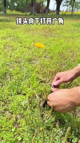 CÁCH EDIT VIDEO ngắn cực đơn giản và rất sống động #gimbaixoay360 #gaychuphinh #gayaditiktok #gayquayphimchuphinh #gaychupanhcoden 
