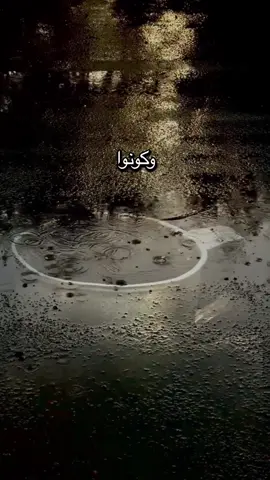#مواعظ#اقتباسات #عبدالله_البواردي #اكسبلورexplore #tiktok 