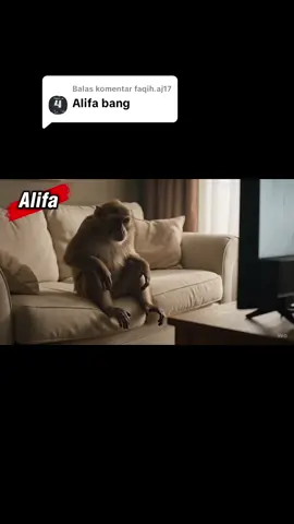Membalas @faqih.aj17 #alifa “Konten ini dibuat menggunakan AI sebagai hiburan” “Generated with AI for fun only, no intent to impersonate anyone” #gemini #geminipro #chatgpt #veo3 