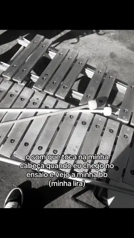 😌 #fanfarra #lira 