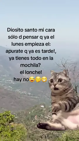 #Meme #MemeCut #CapCut ya le avía agarrado tanto cariño alas vacaciones 😅🤭😁
