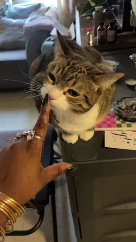 I love my cat 🐱🩷