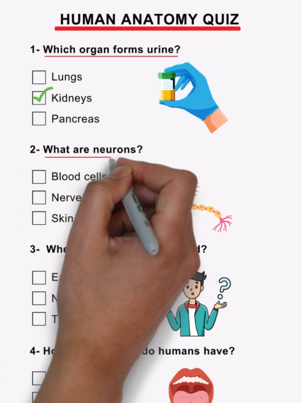 Human anatomy Quiz!  How many did you get? 7/7 #quiz #quiztime #anatomy #human #knowledge 