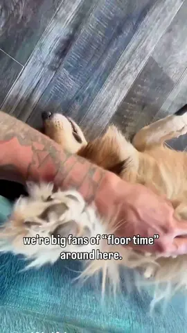 ✨floor time ✨ 