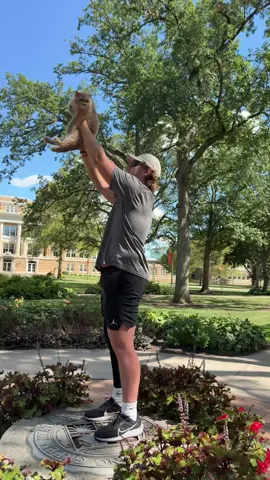 My little Pudge🦁 #LionKing #College #CollegeLife #CatsofTikTok #BGSU 