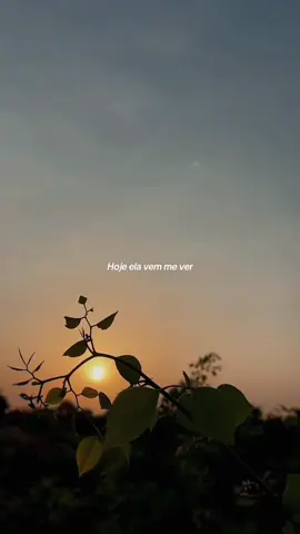 05:50 | Sou Favela #lyrics #foryou #avlxedits #foryoupage #fyp 
