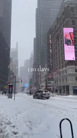 120 days until christmas! 🎄☃️ #christmas2025 #holidayseason #christmascountdown #viral #fyp 