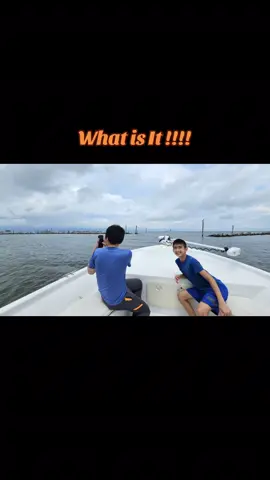 what is that thing . Lol #fypシ #viral #tiktok #AI 