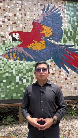 En el occidente de nuestro país y resto de regiones de Honduras trabajamos por un futuro más próspero, inclusivo y sostenible. #InnovaciónBanpaís #JuntosHaciaAdelante
