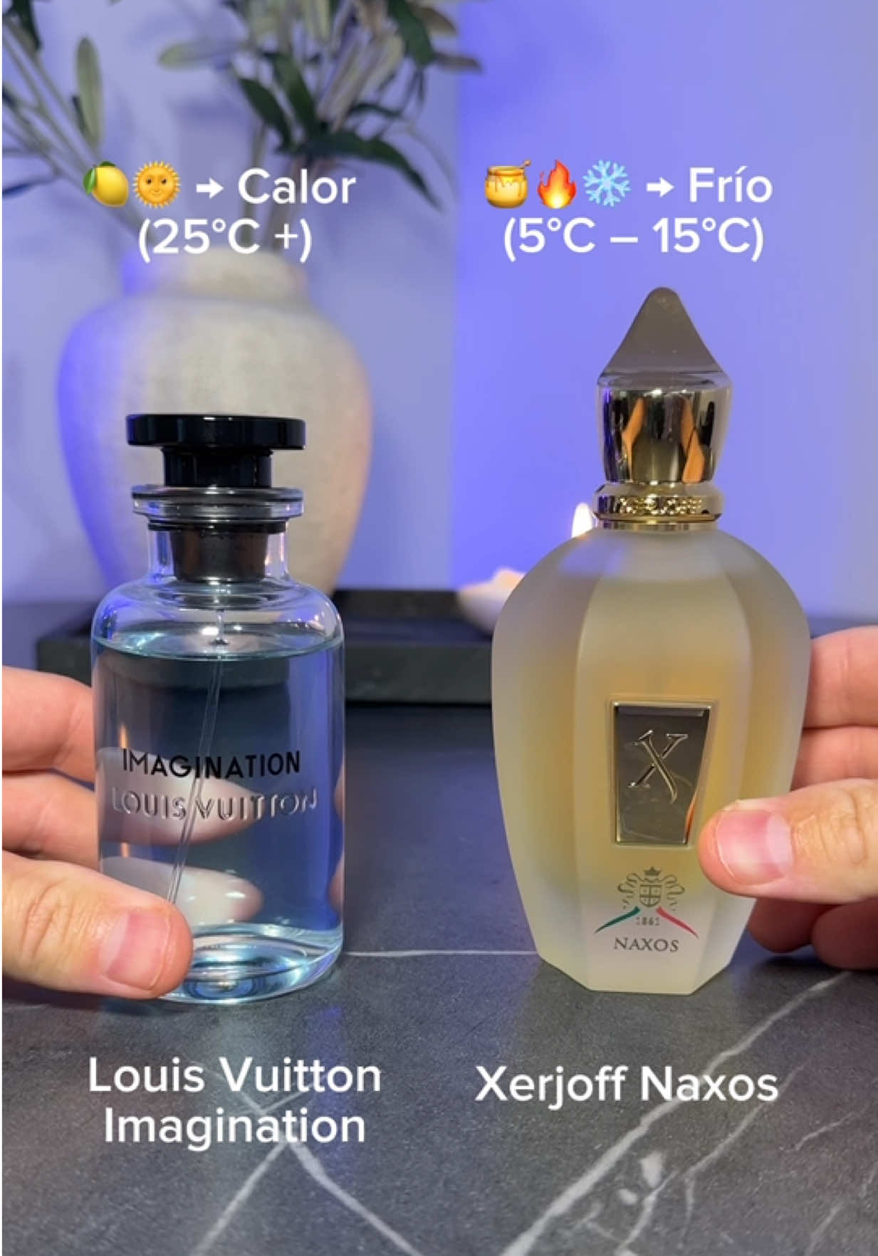 ✨ Las fragancias que elevan tu presencia ✨ ¿Quieres oler irresistible y dejar huella en cada lugar? 🔥 🌊 Frescura irresistible (Acqua di Giò Profondo, Greenley, Torino 21, Imagination) → perfectos para días de calor donde quieres brillar limpio y elegante. 🍂 Elegancia magnética (Layton, Percival, Erba Gold) → aromas versátiles que giran cabezas y te hacen inolvidable. ❄️ Poder y seducción (Naxos, Gentleman, Le Male Le Parfum, Le Male Elixir) → fragancias intensas para noches frías donde tu esencia manda. 🚨 No son perfumes comunes: son armas de conquista, de lujo y exclusividad. El tipo de fragancias que otros recordarán cada vez que piensen en ti. ⬇️ Descubre cuál será tu firma personal antes de que se agoten. #perfume #fragrance #PerfumeTikTok #cologne #perfumes 