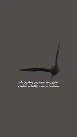 عشرين حيه على دربي وعشرين داب                                     سلمت من روسها , وبلشت ب أذنابها .