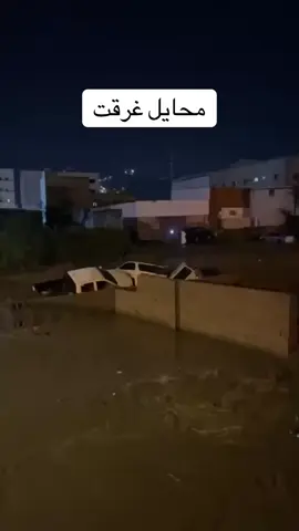 سيول محايل