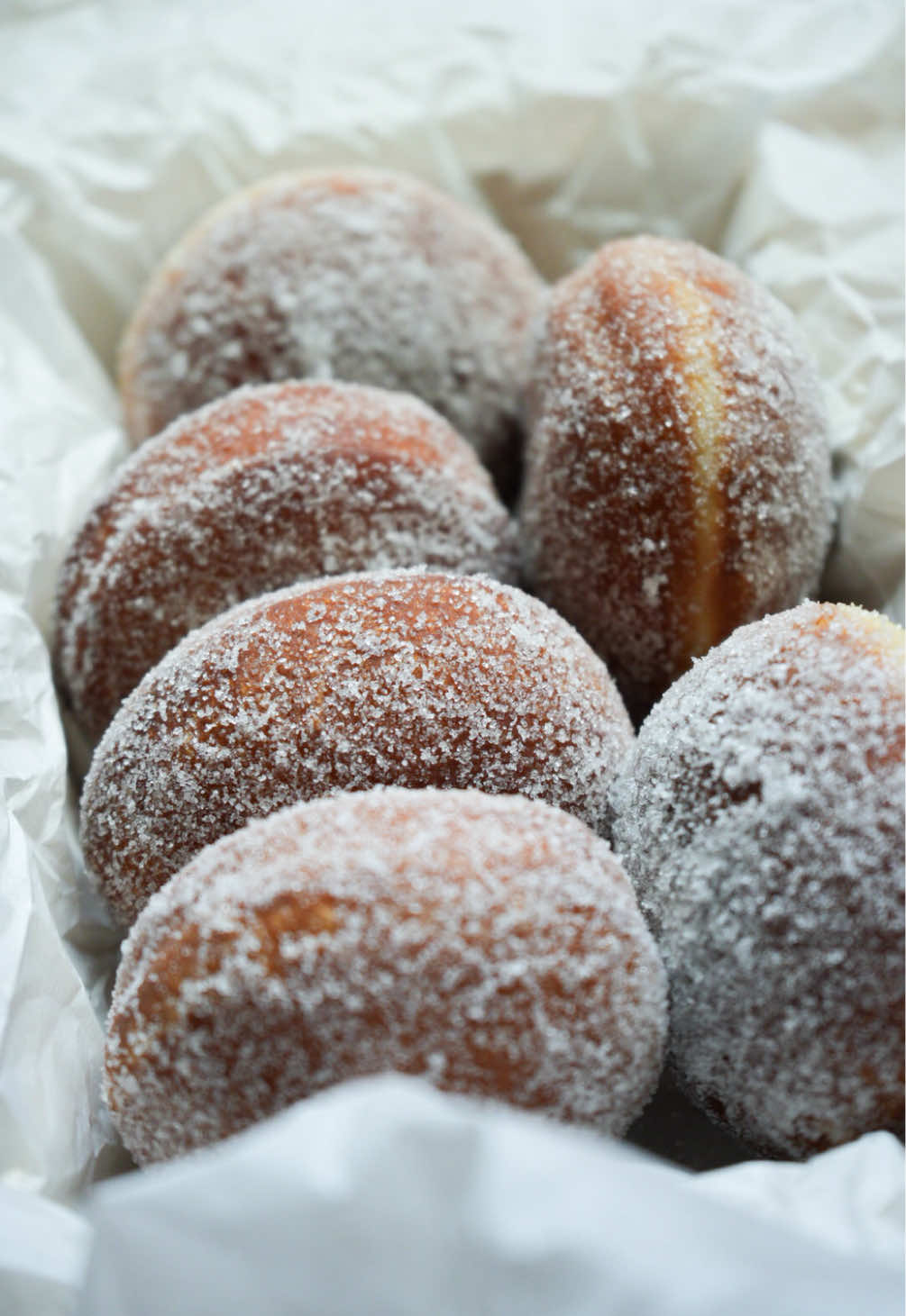 🍩 Chinese Buffet Sugar Donuts As a kid, if it was my turn to pick dinner, I always chose a Chinese buffet, but so I could have sugar donuts and sesame chicken for a full meal. We don’t really go to buffets anymore, but I couldn’t stop thinking about these donuts, so I had to make my own. Recipe below👇🏻 Ingredients 	•	2 ½ cups all-purpose flour 	•	¼ cup granulated sugar (reserve 1 tsp for blooming yeast) 	•	2 ¼ tsp (1 packet) active dry yeast 	•	½ tsp salt 	•	¾ cup warm milk (about 110°F) 	•	2 tbsp unsalted butter, melted 	•	1 large egg For Frying & Coating: 	•	Avocado oil (for frying) 	•	1 cup granulated sugar (for coating) Instructions 1. Bloom the Yeast 	1.	Warm the milk to 110°F (warm but not hot). 	2.	Stir in the active dry yeast + 1 tsp sugar. 	3.	Let sit for 5–10 minutes, until foamy and bubbly on top. 2. Make the Dough 	1.	In a large bowl, whisk together flour, remaining sugar, and salt. 	2.	Add in the foamy yeast mixture, melted butter, and egg. 	3.	Stir until dough comes together. 	4.	Knead for 6–8 minutes by hand (or 4–5 minutes in a stand mixer) until smooth and elastic. 	5.	Place dough in a lightly greased bowl, cover, and let rise 1 hour or until doubled in size. 3. Shape the Donuts 	1.	Roll dough to about ½–¾ inch thick on a floured surface. 	2.	Cut into circles with a round cutter (about 3 inches wide). 	3.	Gather scraps, re-roll, and cut again. 	4.	Place each shaped donut onto a small individual square of parchment paper on a tray. 	5.	Cover lightly and let puff for 15–20 minutes while heating oil. 4. Fry the Donuts 	1.	Heat oil in a deep pot to 350°F. I highly recommend clipping a candy thermometer to your pot so you can monitor the oil, and they fry evenly every time. My favorite candy thermometer is linked in my Amazon storefront. 	2.	Pick up each donut with its parchment square and gently lower into the hot oil. 	3.	After a few seconds, the parchment will release—use tongs to remove and discard it. 	4.	Fry donuts 1–2 minutes per side, until golden brown. 	5.	Drain briefly on paper towels. 5. Coat in Sugar 	•	While still hot, toss donuts generously in granulated sugar until well coated. #donuts #homemadedonuts #sugardonuts #nostalgicfood #comfortfood @KitchenAid @Masoncashuk @Caraway Home @ALDI USA 