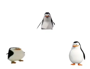 #fyp #penguin #standartskill 