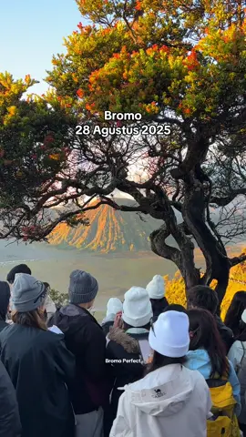 Bromo 28 Agustus 2025 Update harga sewa jeep bromo tahun 2025 ✅Harga 750K Destinasi : 1. Sunrise point 2. Lembah widodaren 3. Kawah bromo 4. Pasir berbisik 5. Savana bromo ✅Harga 700K Destinasi 1. Seruni point 2. Kawah bromo 3. Pasir berbisik 4. Savana bromo ✅Harga 650K Destinasi 1. Puncak mentigen 2. Kawah bromo 3. Pasir berbisik 4. Savana bromo ✅Harga sudah termasuk jeep, bbm, driver dan destinasi sesuai paket ✅Harga belum termasuk tiket masuk bromo ✅Wa admin cuma ada di bio yagesya ✅Cara booking cukup isi formulir & dp minimal 250k / jeep ✅Start Sukapura Probolinggo  ✅WEEKEND / WEEKDAY HARGA SAMA ✅ 1 jeep maks 6 orang  #bromo #bromotenggersemeru #privatetripbromo #gunungbromo #bromotravel 