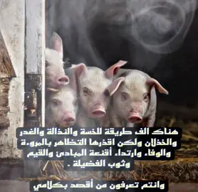 وهم متصنعي الود الذين يحملون الندس ولخبث في قلوبهم  #أكتب_شيئ_تؤجر_عليه✍️ #العراق #الحسين_ثورة_خالده #الحسين 