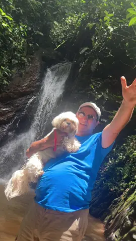 El que no quería perros #paratiiiiiiiiiiiiiiiiiiiiiiiiiiiiiii  #papa  #abuelo #amorperruno #perrostiktokers 
