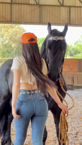 #cavlos🐎🤎🤍🖤 #cavlos🐎🤎🤍🖤 #ruivadaroça❤✅ #cavalosminhapaixao🐴🖤 #ruivadaroça❤✅ 