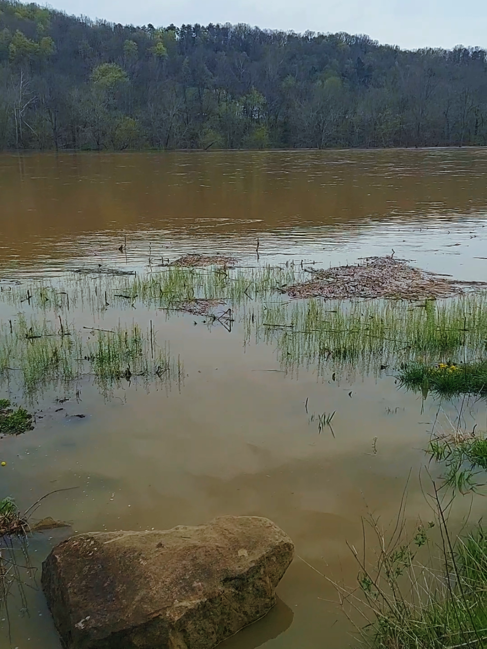 Support for Support through comments drop me a comment and ill be at your page soon enough. This a flooded field! It looks like a like a lake huh lol very beautiful #STRONG2GETHER #LIVELIFEOUTLOUD wearemighty940 #🐻carebears🐻  MamaMels #positiverhyme gratitudegang pumpkin_patch_misfits🧡 ragdoll_b #familyuzair💀☠️💯💯 