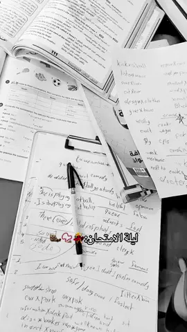 شنك ليلة الله يعينوا على هالليلة🥲🦦🦦#tiktok #ثالثيون #الدخول_الشامل #pov #iphone 