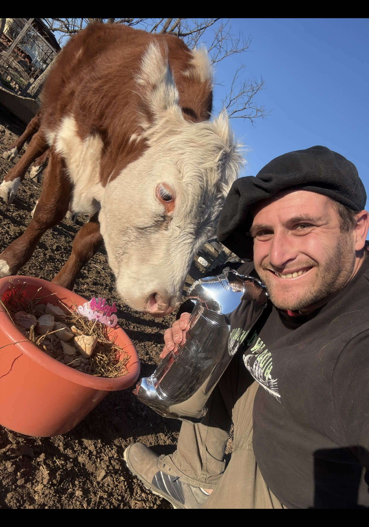 🐂OLGUI y su FIESTITA de Cumpleaños 🥳🎂 Hoy como todo un papá luchón me esmeré e hice tremenda torta con Alfalfa, Pellet de trigo, expeller de soja, maíz y pan 😂💪🏻 📲Compartí tu video favorito de OLGUI en tus historias con un mensajito de cumpleaños para ella 🫶 No te olvides de etiquetarme (y tener la cuenta pública) Los vamos a estar leyendo y compartiendo 🥰🇦🇷 Todo sea por que la bendición sea feliz y pueda invitar a sus amigos 🫶🥹 Los amamos FAMILIA! 🙌🐂