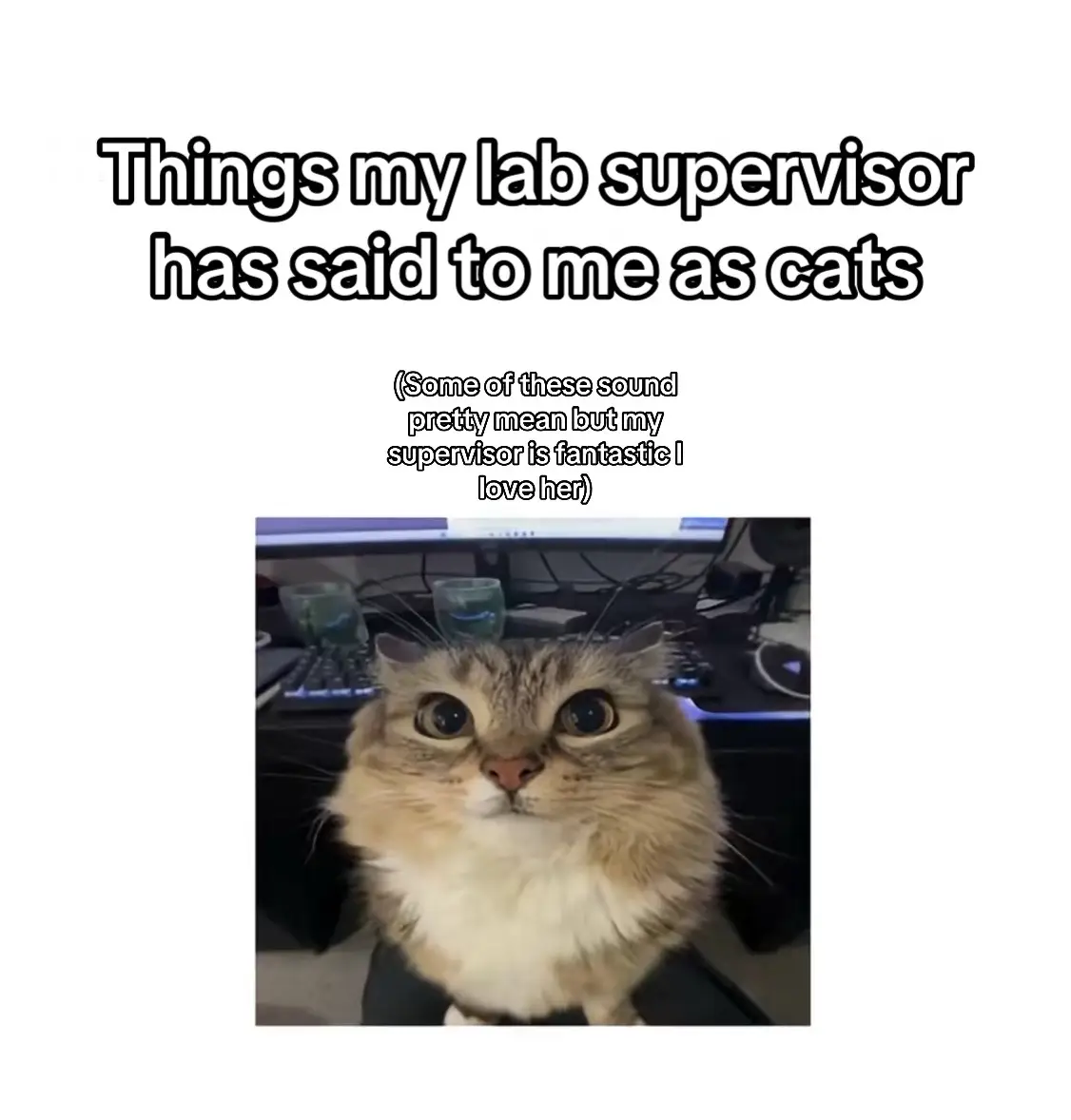 #lab #funny #quotes #research #fyp