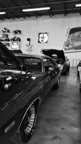 Whats your favorite mopar? #challenger #dodge #dodgechallenger #mopar #carsoftiktok 
