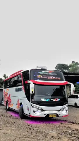 pesona jb2 wani tampil di era gempuran jb5 #putraaljabarchenghoo #jb2hdd #chenghoo #fyp @autobus_led 