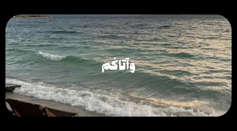 #الاهلي #قران_كريم #tiktok #capcut #explor 