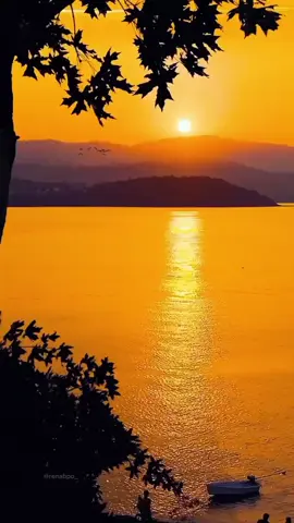 Canción de otoño - José Luis Perales #musica #romantica #delrecuerdo #paradedicar #pararecordar 