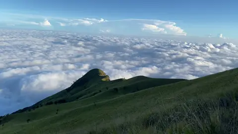 Kenapa sih harus merbabu via suwanting? #merbabuviasuwanting #fypシ #suwanting #merbabu #jelajahliburan 