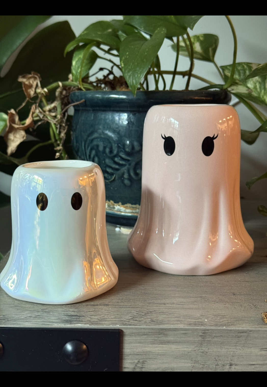 @dwhomecandles forever my favorite candle brand!!! Also these fall candles are everything they’re all so yummy #fallcandles #candles #candletok #autumn #ghostcandle 