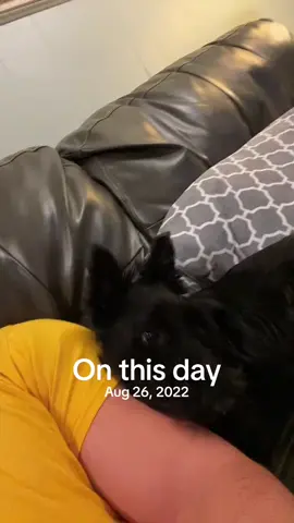 #onthisday