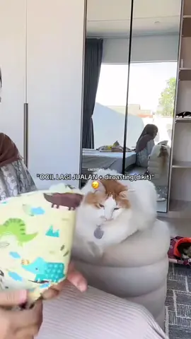 #pororoandthegank #cat #catsoftiktok #catlover #kucingtiktok 
