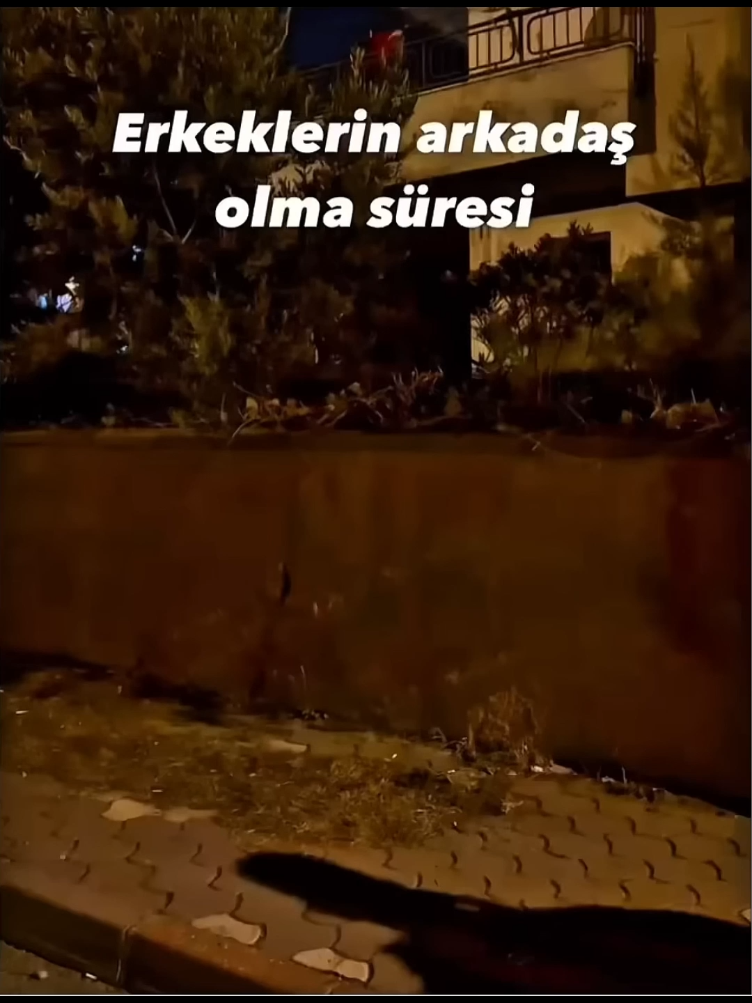 #topten #foryou #funnyvideo #aslanlar #funny #komik #komikvideolar #viral #aslan #fyp #tiktokb #skit #acting #stitch #fypage #tools #TikTokers #trompete #ronaldinho #crush