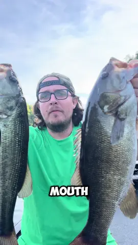 Up to 70% off rn on 👀 #fishing #bassfishing