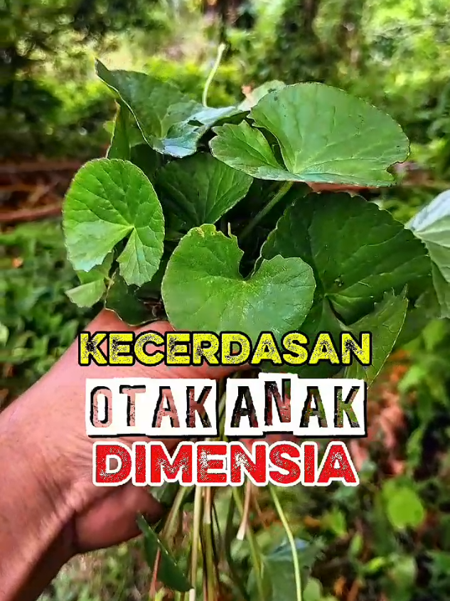 Mencerdaskan Otak