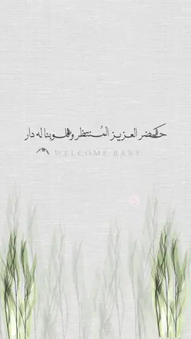 #بشارة_مولود #دعوات_الكترونيه #بشاره_مولود #اكسبلورexplore #اكسبلور 