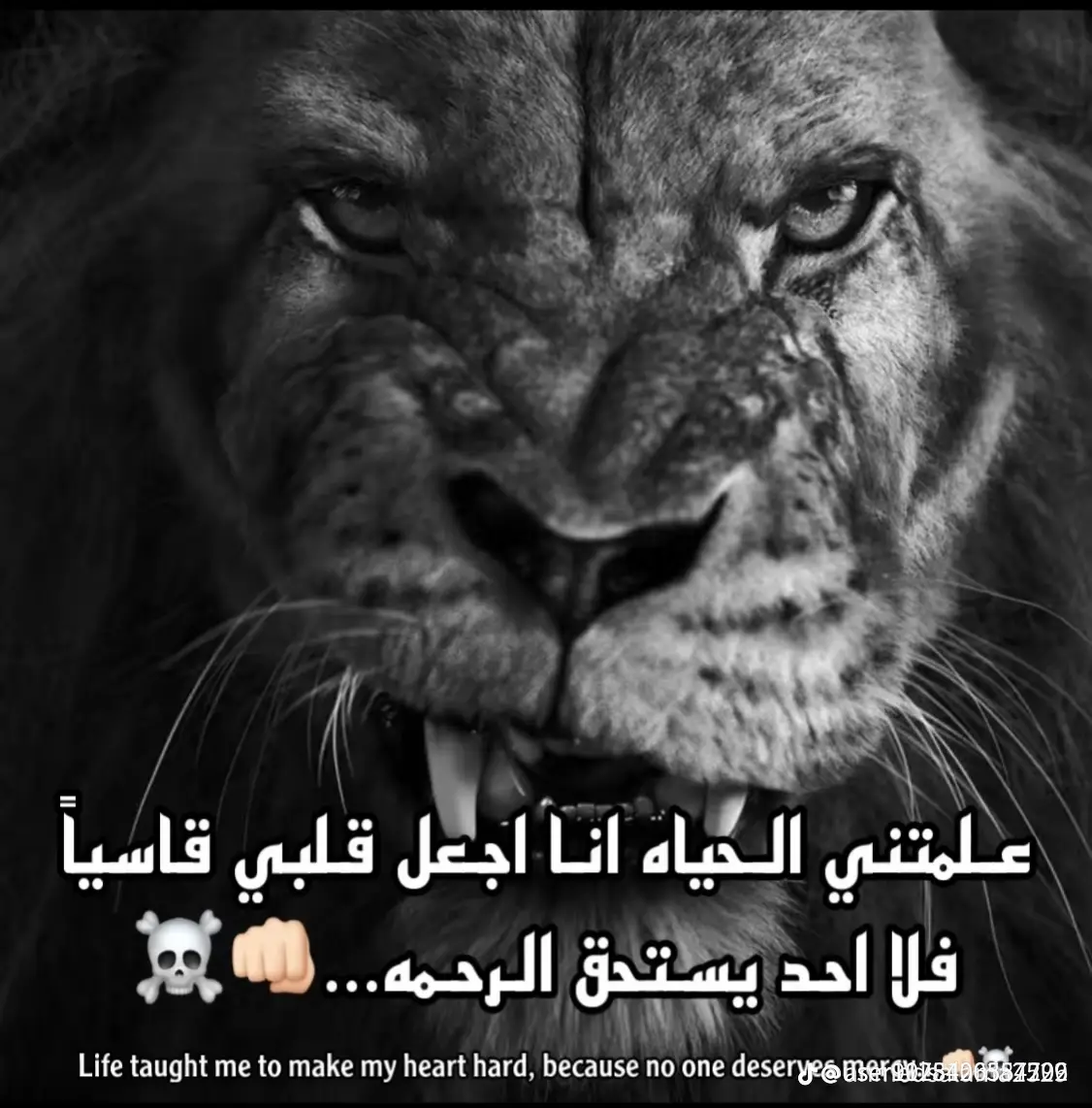 #اوعا  العشم يخدك الدنيا مفهاش امان🖤🎭#houda  #CapCut #fyp #foryou #