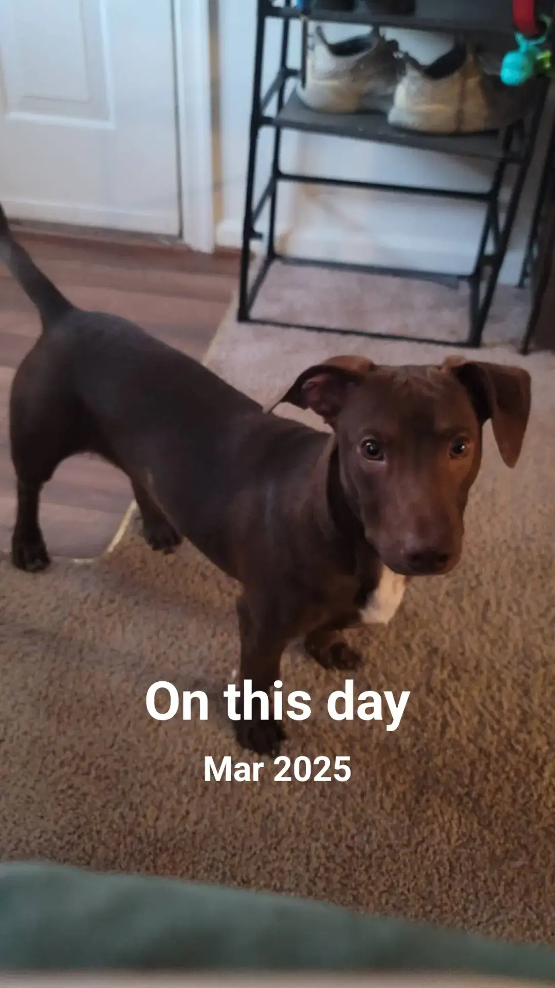 #onthisday