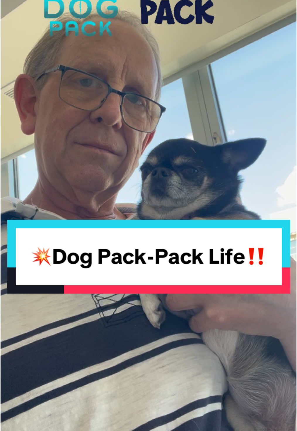 💥Dog Pack - Pack Life - Washington, DC‼️ . . #dogpack #packlife #dogs #dogwalking #dogwalkinglife #dogsoftiktok #dogsarethebest #dogsarefamily #dogsofdc #dcdogs #washingtondc #citydog #citydogs #cutedogsoftiktok #pupfriends #dogfriends #dogfriendship 