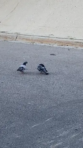 Hey, What’s Going on Here? 