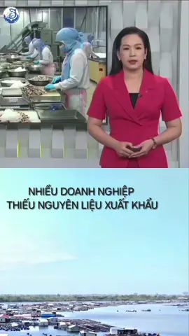 #tinthuysan #nuoitrongthuysan #xuatkhauthuysan #tiktoknew