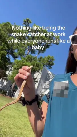 Makes me miss my snakes  #snakes #worklife #fypp #funnyvideos #wilmington 